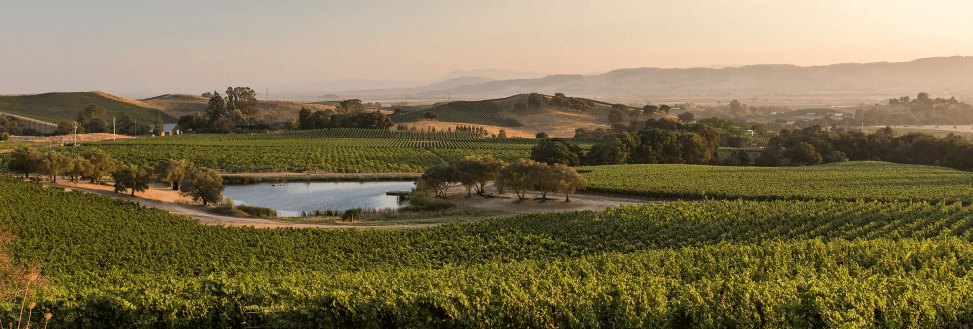 Bundschu Winery wedding venue in Sonoma, CA